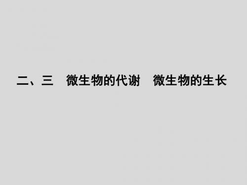 【大纲版】2012高考生物《金版新学案》一轮复习课件选修第五章微生物与发酵工程2-3