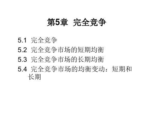 第5章完全竞争课件