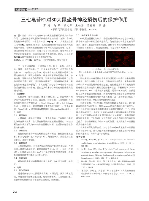 三七皂苷R1对SD大鼠坐骨神经损伤后的保护作用