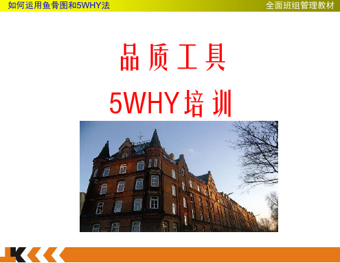 5W,鱼骨图培训教材