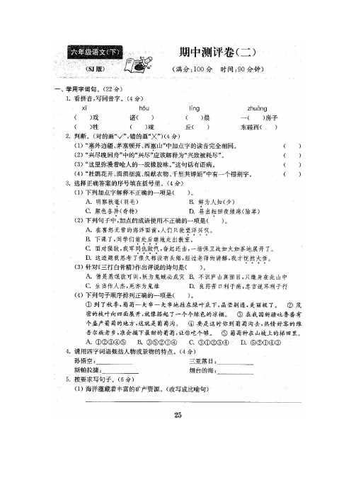 【5套打包】沈阳市小学六年级语文下期中考试单元测试卷(解析版)