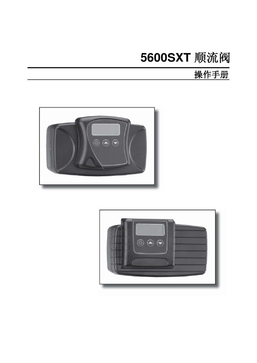 fleck_5600sxt(cn)