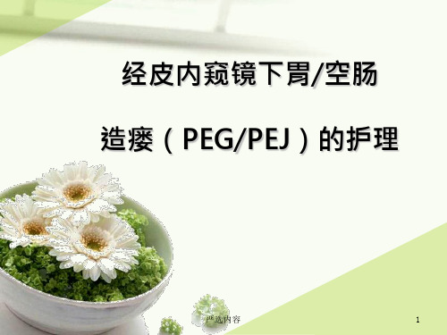 经皮内窥镜下胃空肠造瘘PEG、PEJ的护理【优质参考】