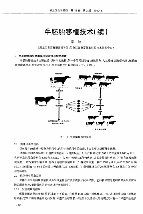 牛胚胎移植技术(续)