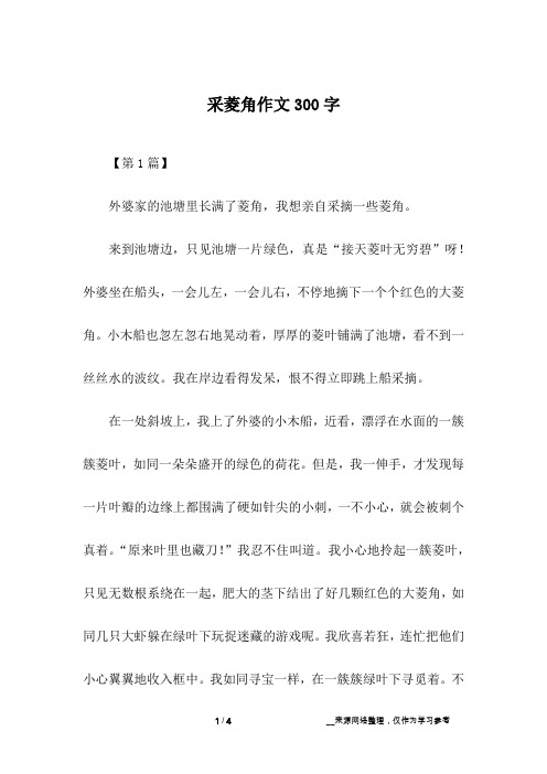 采菱角作文300字