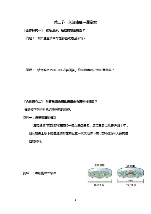 苏教版高中生物必修一 5.3 关注癌症 学案