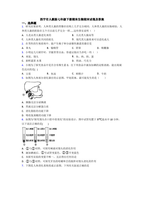 西宁市人教版七年级下册期末生物期末试卷及答案