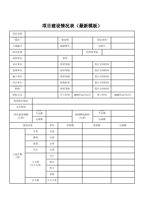 项目建设情况表(最新模板)