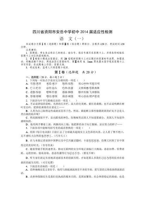 四川省资阳市2014级中考语文综合检测题(1)试题及答案