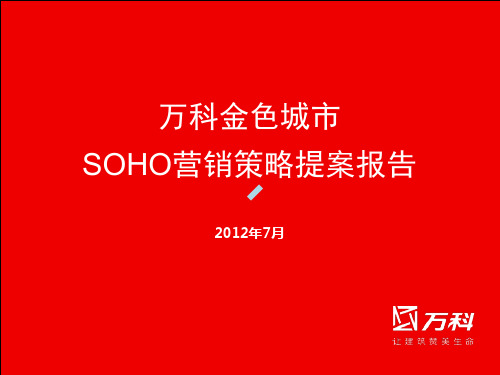 武汉武昌万科金色城市SOHO营销策略提案报告