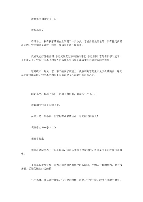 观察作文300字12篇