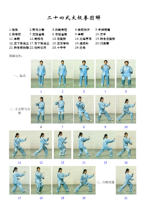 24太极拳分解动作