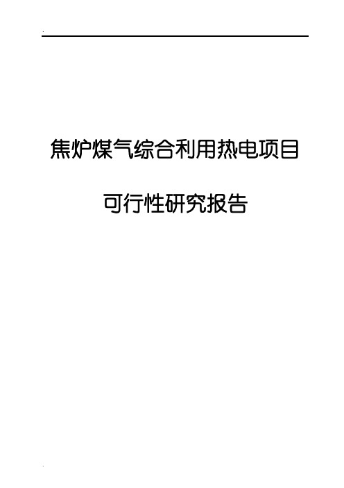 焦炉煤气综合利用热电项目可行性研究报告