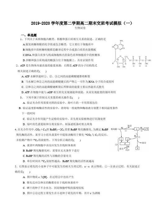 【最新】江苏省如皋市高二下册模拟考试(一)生物试题有答案