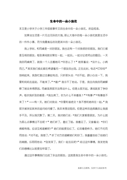 小学三年级叙事作文：生命中的一朵小浪花