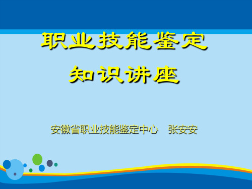 职业技能鉴定知识专题讲座(ppt 28页)