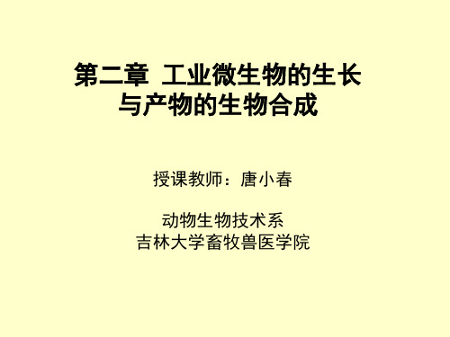 发酵工程   第二章 工业微生物的生长和产物合成