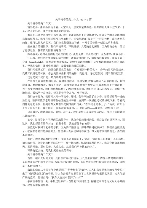 关于青春的高二作文700字5篇