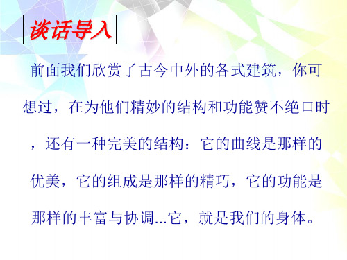 六年级下册科学-人体的组成优秀课件冀教版课件PPT