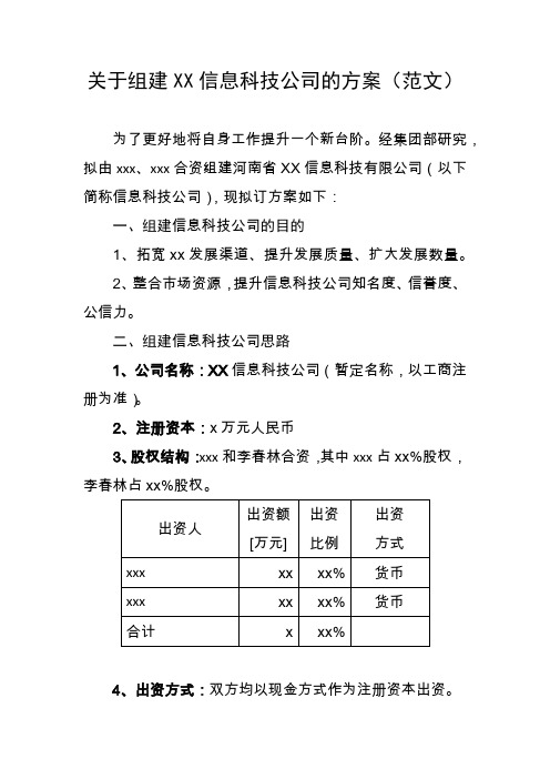 公司组建方案(范文)