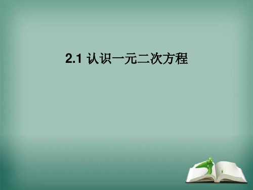 北师大版九年级数学上册认识一元二次方程课件