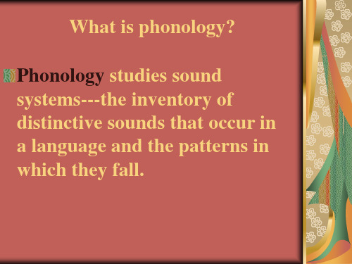 What is phonology