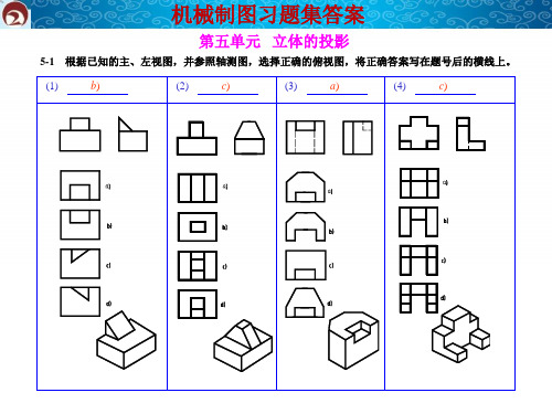 5 立体的投影答案