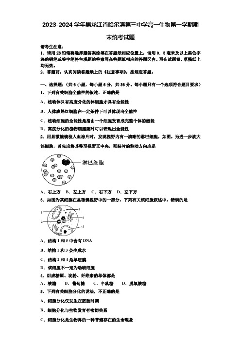 2023-2024学年黑龙江省哈尔滨第三中学高一生物第一学期期末统考试题含解析