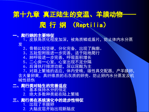 动物生物学课件24西北大学