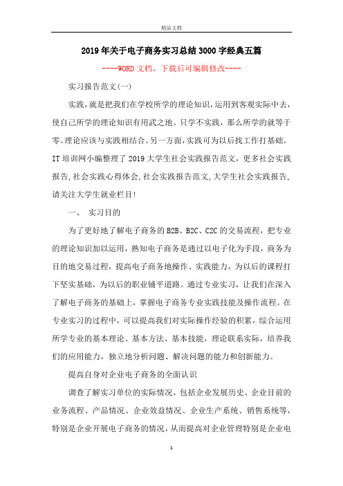 2019年关于电子商务实习总结3000字经典五篇