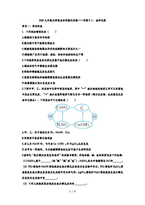 2020九年级化学重点知识强化训练——专题十二：盐和化肥(word版无答案)