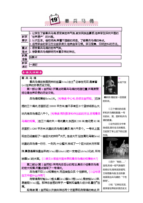 最新人教版四年级上册语文 19秦兵马俑 精品教案