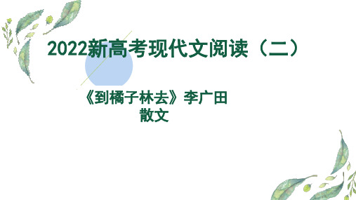 2022年新高考Ⅱ卷《到橘子林去》