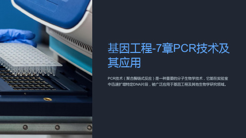 基因工程-7章PCR技术及其应用