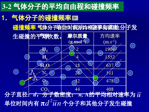 第9章热学(93)平均自由程与碰撞频率_能均分定理