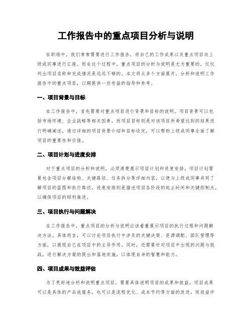 工作报告中的重点项目分析与说明