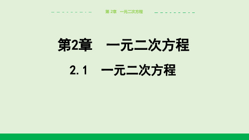 2024-2025学年初中数学九年级上册(湘教版)教学课件2.1一元二次方程