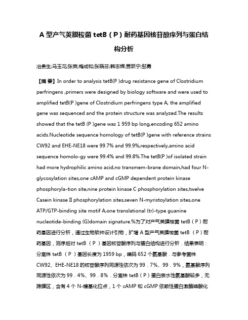 A 型产气荚膜梭菌 tetB（P）耐药基因核苷酸序列与蛋白结构分析