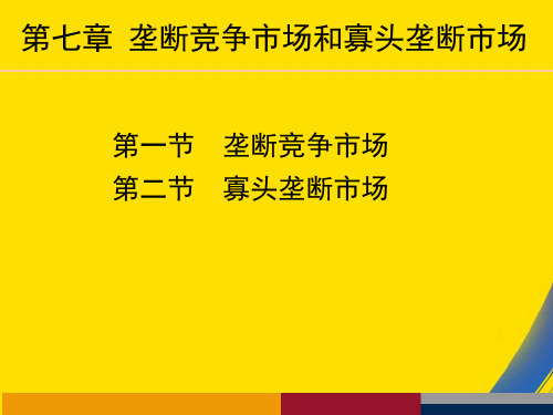 (全)不完全市场PPT资料