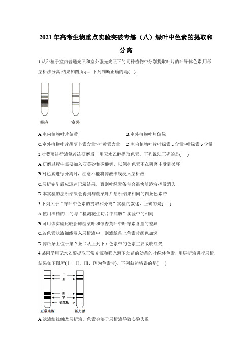 2021届高考生物重点实验突破专练(八)绿叶中色素的提取和分离