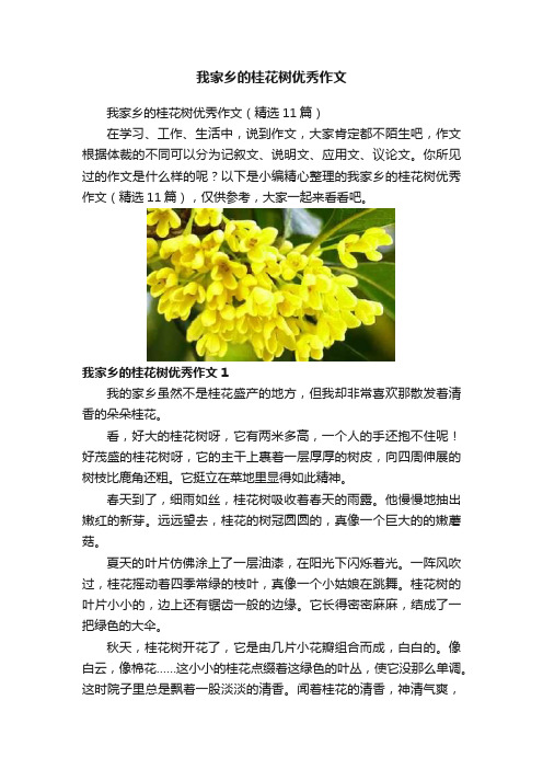 我家乡的桂花树优秀作文