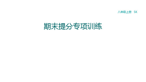 人教版物理八年级上学期期末提分专项训练