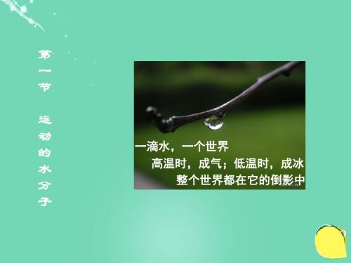 八年级化学全册2.1《运动的水分子》课件(新版)鲁教版