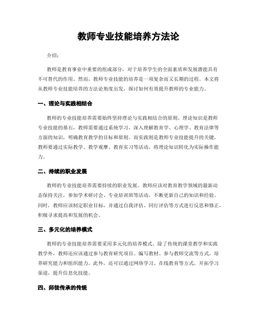 教师专业技能培养方法论