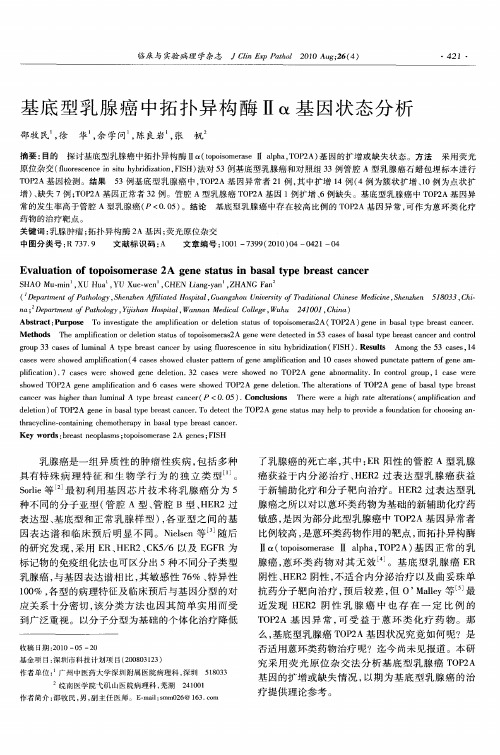 基底型乳腺癌中拓扑异构酶Ⅱα基因状态分析