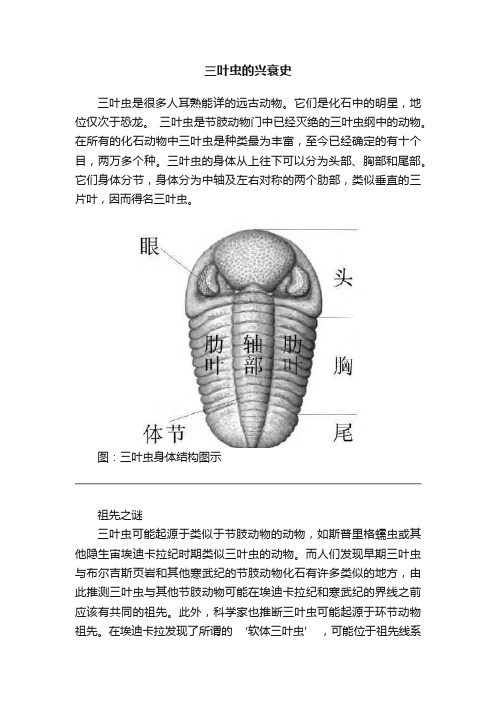 三叶虫的兴衰史