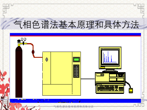 气相色谱法基本原理与具体方法