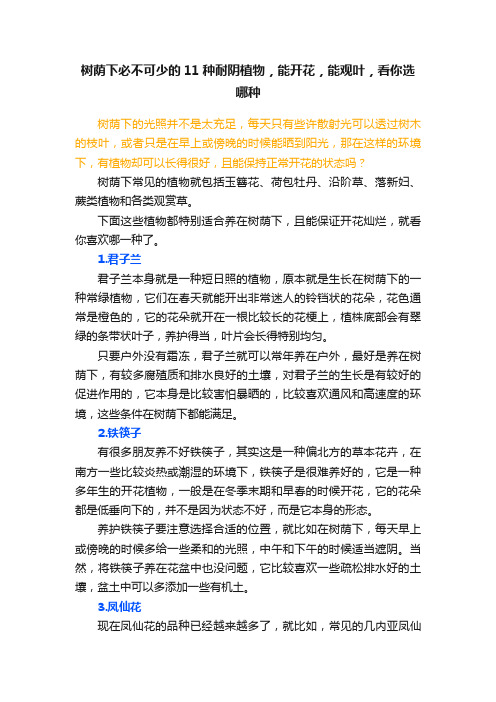 树荫下必不可少的11种耐阴植物，能开花，能观叶，看你选哪种