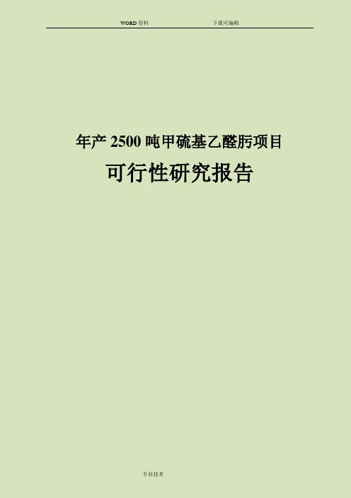 年产2500吨甲硫基乙醛肟项目可行性实施方案