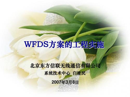 WFDS方案的工程实施